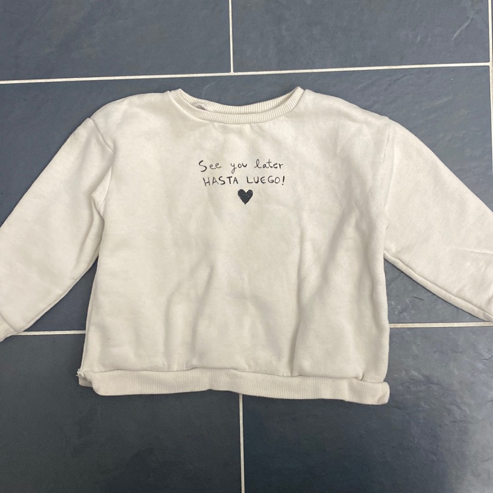 Zara sweatshirt